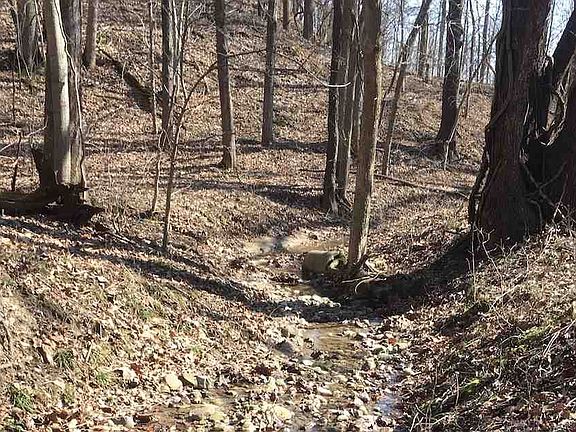 3rd image of 9254 S State Road 263
