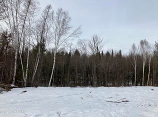 L2 Elm Lake Rd, Speculator, NY 12164