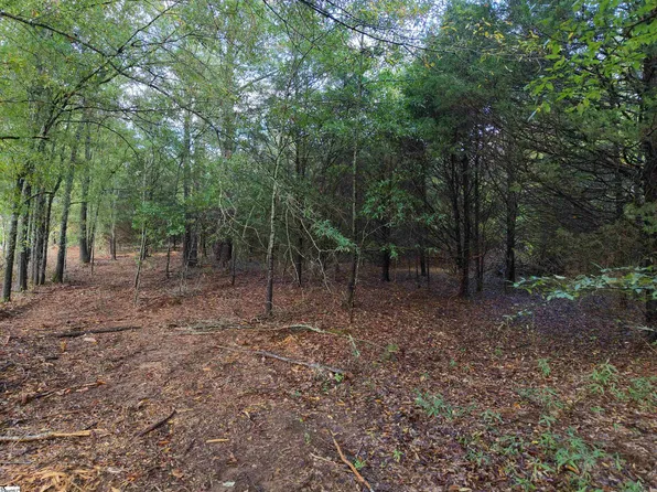 2 Owens Dr, Laurens, SC 29360