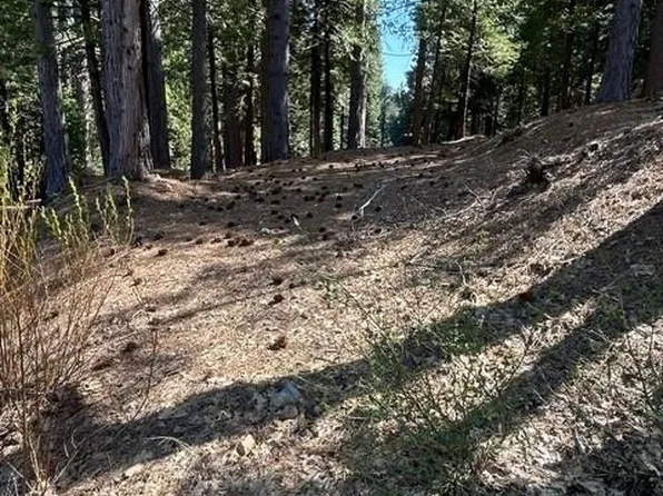 2179 Navajo Dr, Arnold, CA 95223