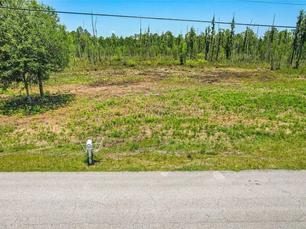 26901 GREEN WILLOW RUN, WESLEY CHAPEL, FL 33544