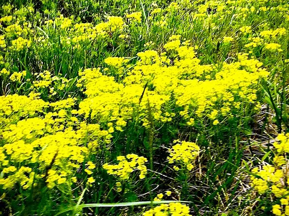 932 Reedy Creek Rd, Bristol, TN 37620