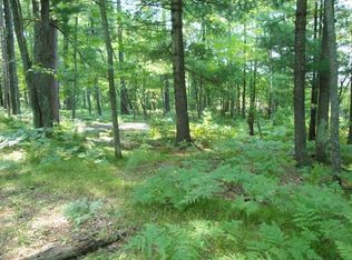 Emden Lake Rd LOT 59, Pelican, WI 54501