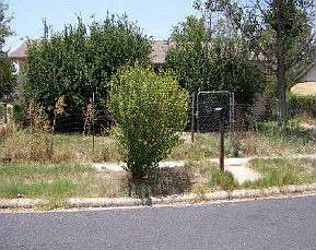 1st image of 1105 Meadow Dr