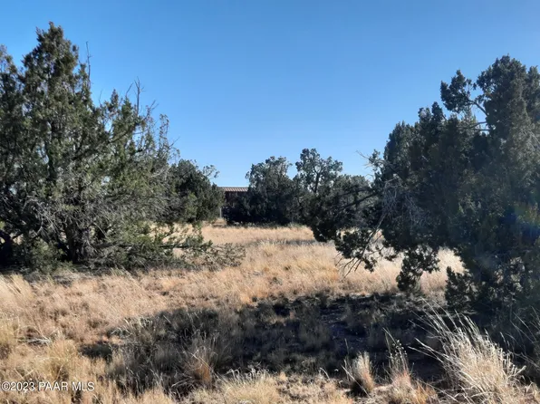 53480 N La Plata Dr, Seligman, AZ 86337
