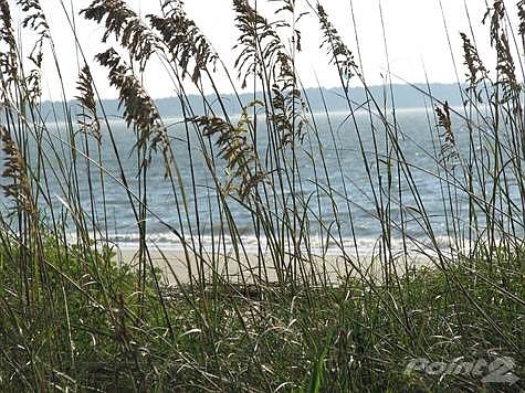 Seagrass on beach