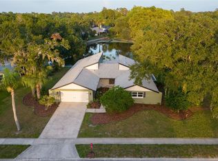 310 Holly Hill Rd, Oldsmar, FL 34677