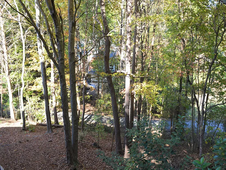 4167 Greenview Ct — Photo 6