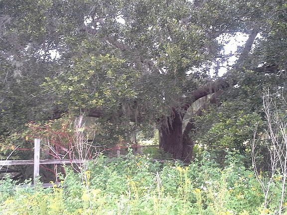 3rd image of SE 225th Dr