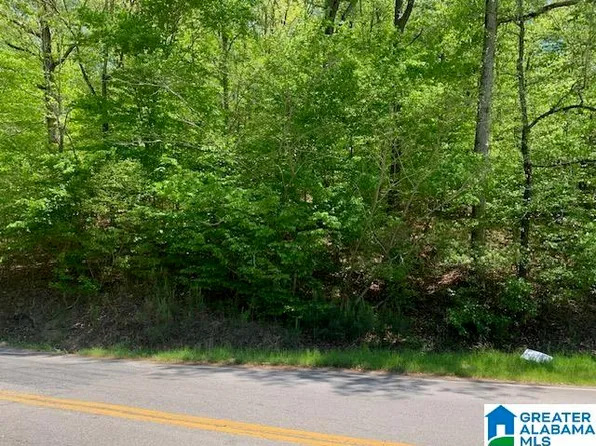 0 Mellon Bridge Rd #0, Oxford, AL 36203