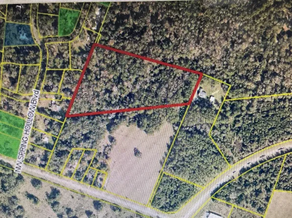 0 NW Lake Jeffery Rd, Lake City, FL 32055