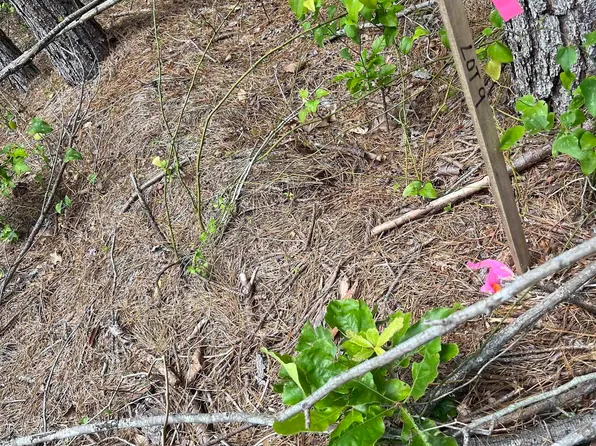 Xx Castle Lot 9, Glenwood, AR 71943