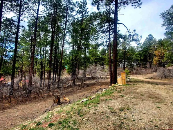 260 Berry Drive, Bayfield, CO 81122