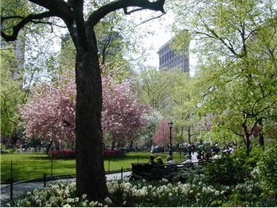 225 5th Ave APT 11T, New York, NY, 10010
