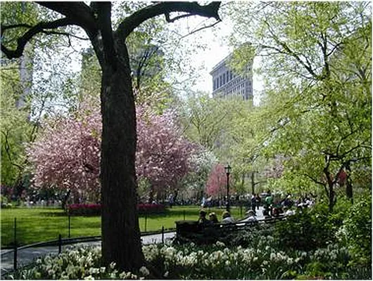 Sold by Douglas Elliman | media 20