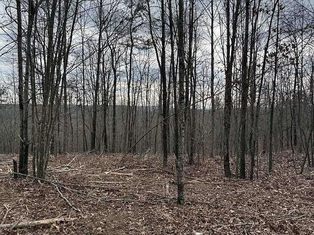 1st image of 11 S Pittsburg Mountain Rd