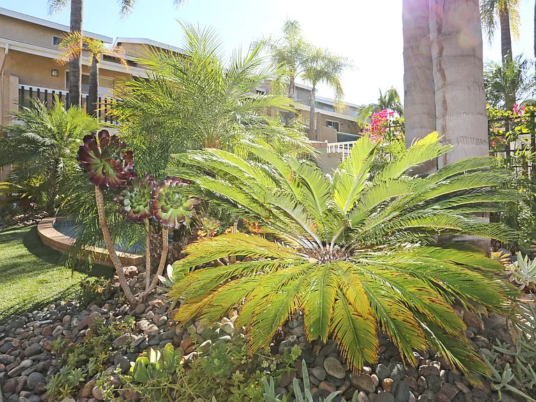 View of plants and landscaping in front of Rental Office