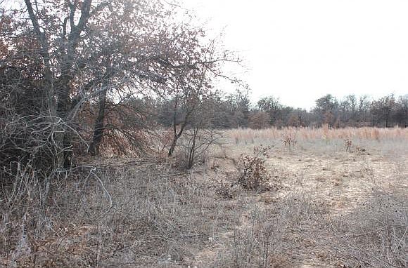 2nd image of 15526 S County Road 208