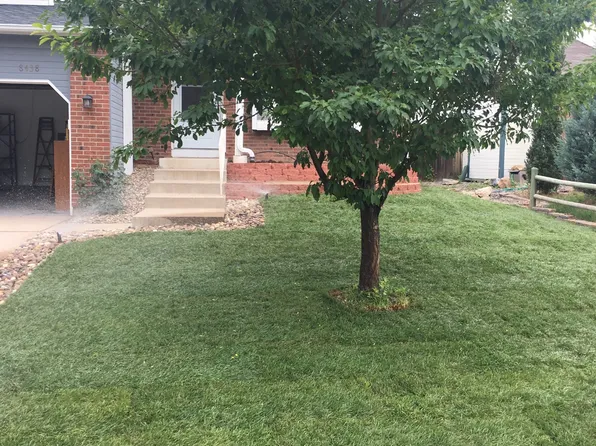 8438 Wild Alfalfa Pl, Parker, CO 80134