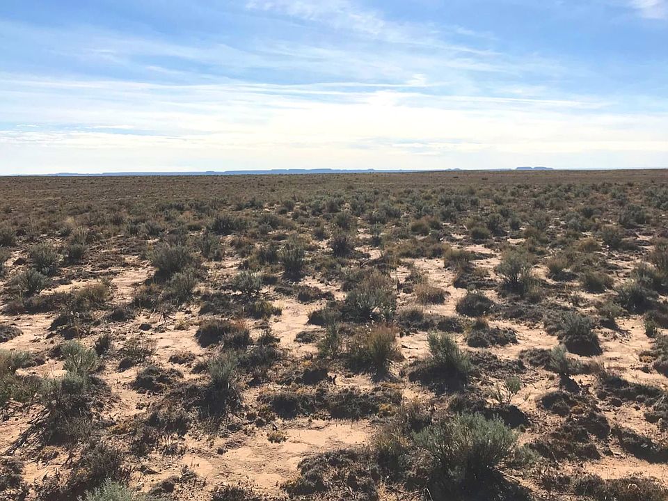 1st image of 003 Hwy 40