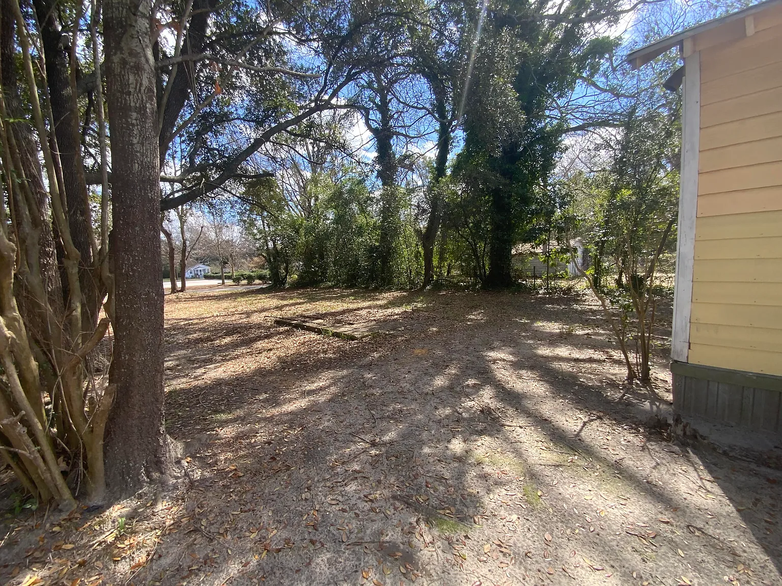 2 bed, 1.0 bath, 1009 sqft, $1,000 — Photo 2