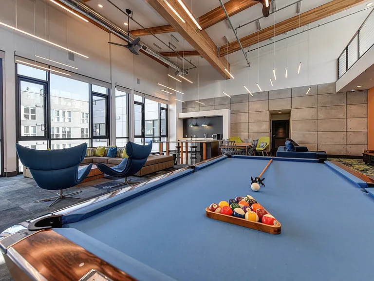 Community Clubhouse Pool Table