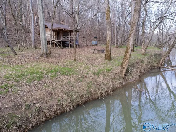 781 County Road 283, Collinsville, AL 35961