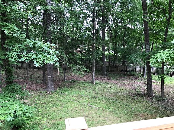 View from deck in backyard 