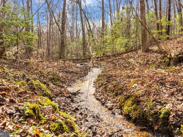 0 Humphrey Mill Rd, Mineral Bluff, GA 30559