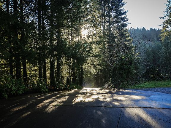 Driveway Looking Down