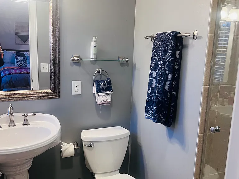 Guest bathroom with shower