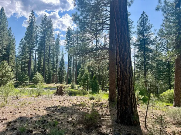 950 Miners Psge, Clio, CA 96106