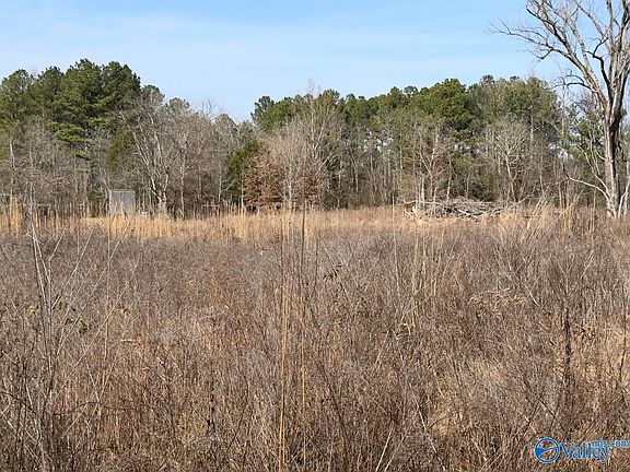 3rd image of LOT 4&5 County Road 59