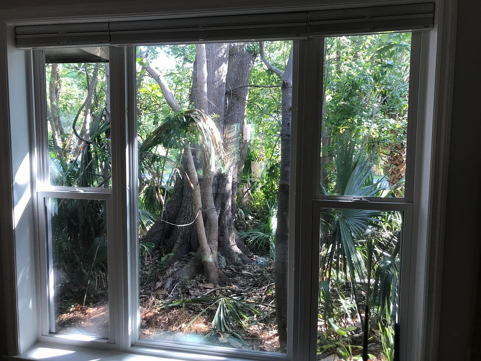 2 bed, 825 sqft, $1,900 — Photo 3