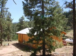 1667 County Road 835, Bailey, CO 80421