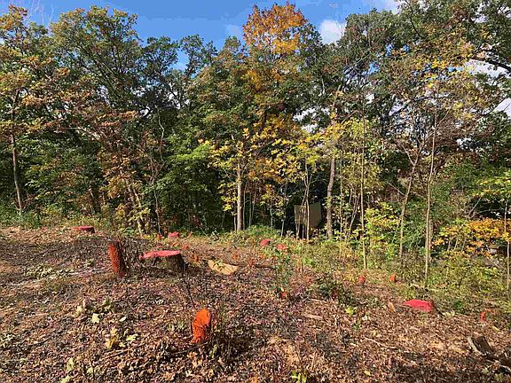 5th image of 7 Timber Ridge Dr Lot 1910