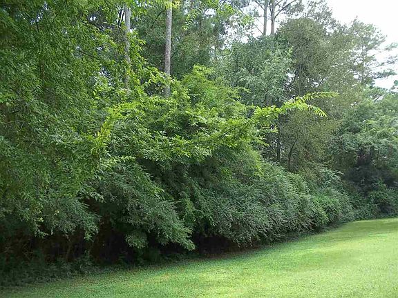 3rd image of Hillwood Dr