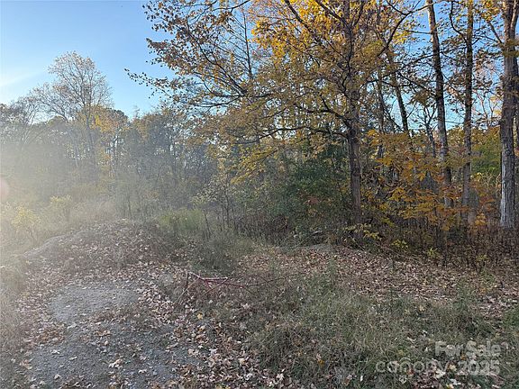 3rd image of 3648 Waterloo Dr