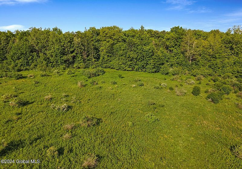 3rd image of L8.111 Duanesburg Churches Road