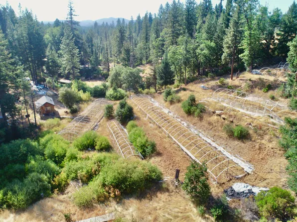 132 Horseshoe Loop, Hayfork, CA 96041
