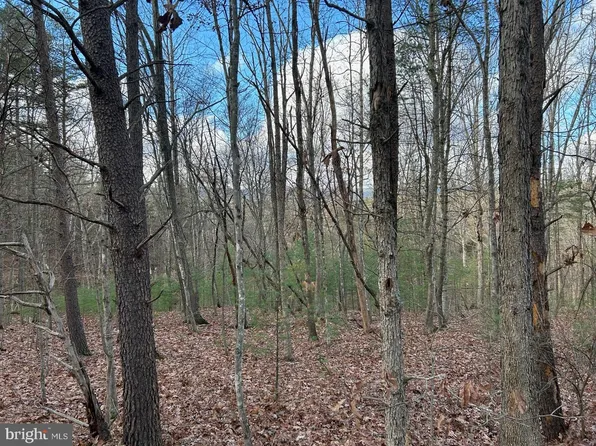 Beaver Rd, Basye, VA 22810