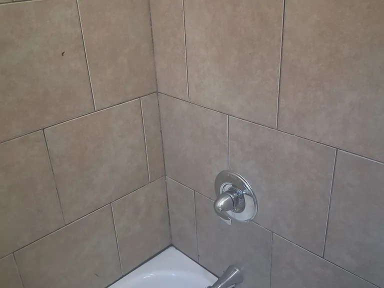 Shower Tub