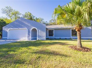 506 Sideview Ct, Brandon, FL 33510