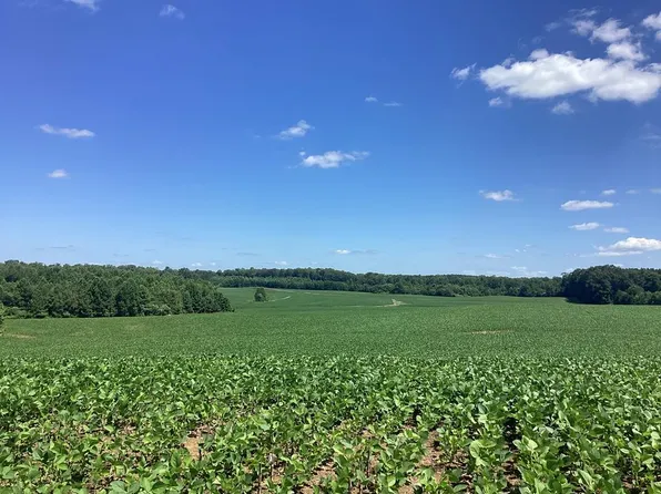 0 Swor Rd, Springville, TN 38256