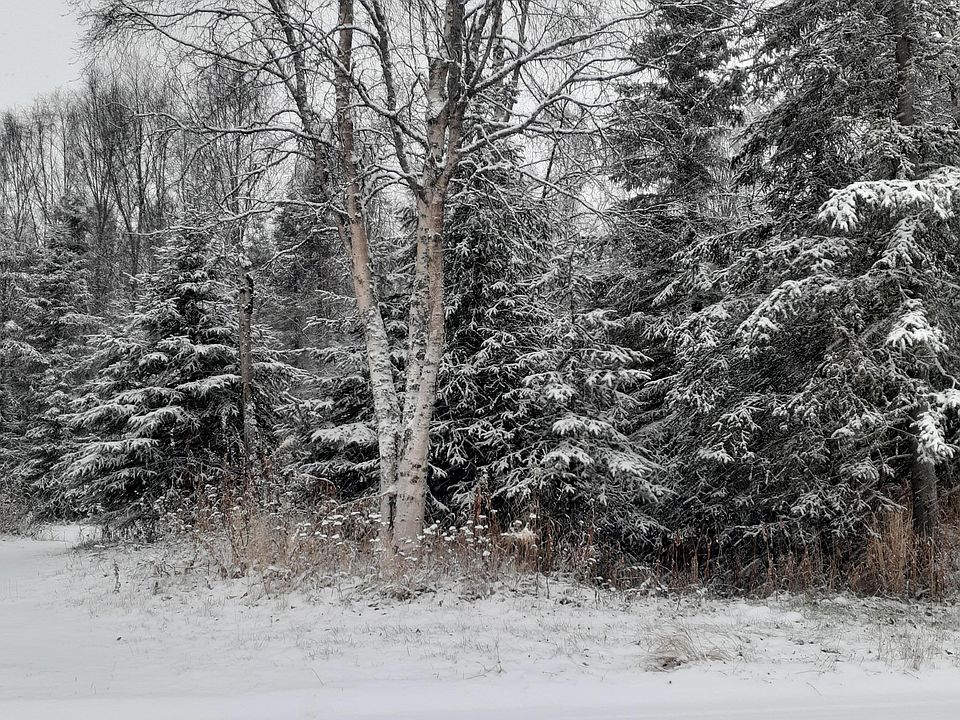2nd image of 1121 1st St