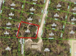 15201 Ibis Rd, Brooksville, FL 34614
