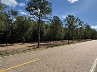 29381 State Highway 40 Lot 3, Independence, LA 70443