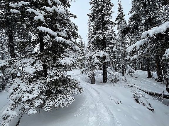 5th image of M261 Parks Hwy