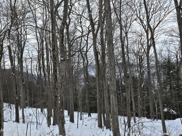 193L Ridge Run Rd, Claysburg, PA 16625