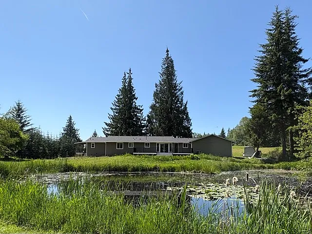 Pond/Back of House